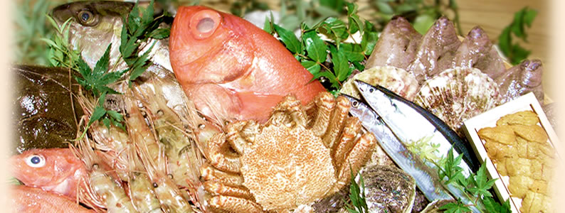 新鮮魚介の写真